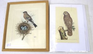 Collection of prints. Mostly unframed showing animals, etc.