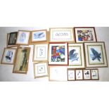 A late 19th century watercolour by A Morice and a collection of prints of exotic birds (some