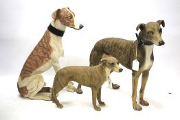 A group of three model whippets. One named Murphy, H43cm.