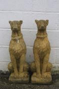 A pair of stone wolf hound dogs garden ornaments. H76cm.