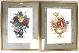 Two 20th century coloured prints.