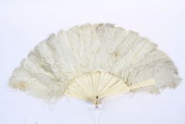 An early 20th century folding ostrich feather fan.