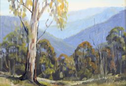Ronald Peters (1937-2003), Bundanoon Gorges, NSW, oil on board. Signed lower right, 16.5cm x 11.