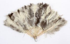 An early 20th century folding ostrich feather fan.