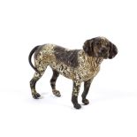 An early 20th century Continental cold painted bronze model of a dog in the style of Bergmann.