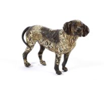 An early 20th century Continental cold painted bronze model of a dog in the style of Bergmann.