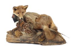 A taxidermy hunting group of a fox and pheasant.
