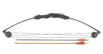 A Barnett Banshee quad bow and two arrows.