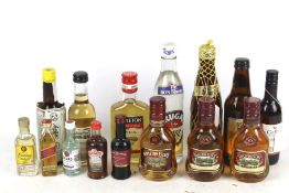 An assorted collection of miniature alcohol bottles. Including Appleton Estate Rum x4, etc.