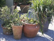 Five garden pots. Various shapes and sizes.
