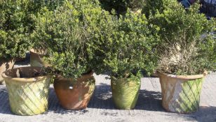 Four large garden terracotta pots.