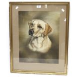 A 20th century portrait of a dog. Signed