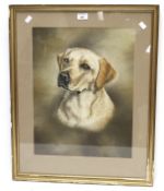 A 20th century portrait of a dog. Signed