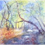 Ann Swankie, watercolour, Forest,