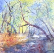 Ann Swankie, watercolour, Forest,
