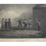 W & G Cooke after B Marshall 1805 Monochrome Equine Engraving 'MULY MOLOCH Property of the Earl of