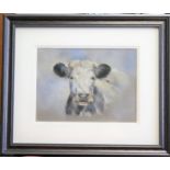 Joanna Miln pastel portrait of a Shorthorn Cow. Signed 'J Miln'.