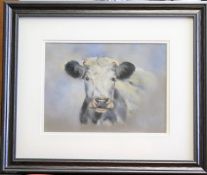 Joanna Miln pastel portrait of a Shorthorn Cow. Signed 'J Miln'.