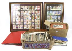 An assortment of vintage postcards and cigarette cards.