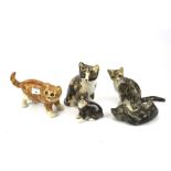 A collection of five assorted Winstanley pottery cats.