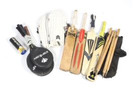 An assortment of sporting equipment.