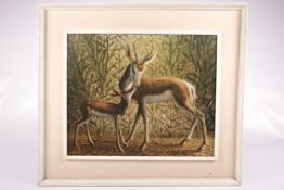 Print of a South African deer, doe and calf, indistinctly signed. 48.5cm x 58.