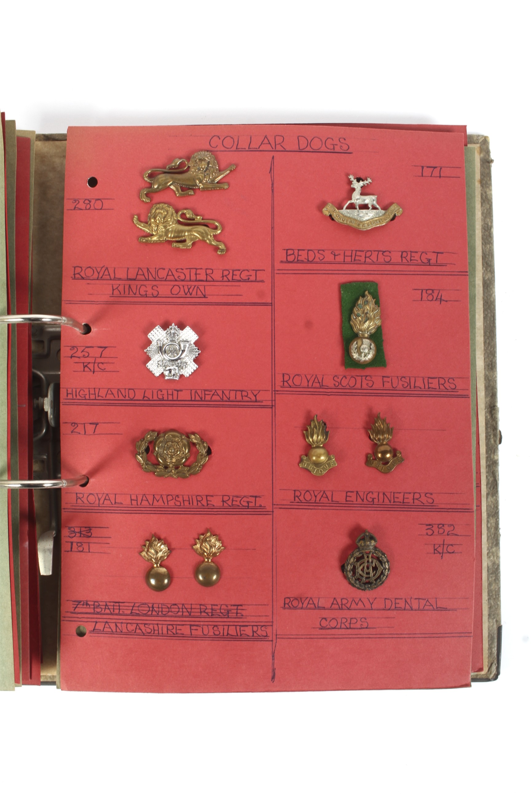 A collection of assorted sixty eight vintage military collar dogs badges. - Image 3 of 5