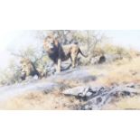 David Shepherd (1931-2017) 2 limited edition signed coloured prints ' Mountain Lion 288/350' and '
