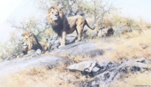 David Shepherd (1931-2017) 2 limited edition signed coloured prints ' Mountain Lion 288/350' and '