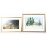 David Shepherd (1931-2017) 2 signed coloured prints' Jungle Gentleman ' & ' Mountain Lion 192