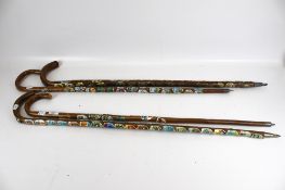 Four walking sticks attached with a coll