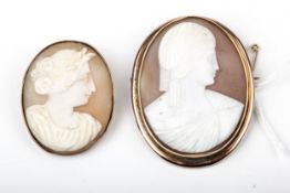 Two vintage gold and shell cameo oval brooches.