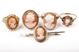 Four vintage gold and oval shell cameo rings and a similar bar brooch.