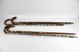 Four walking sticks attached with a collection of metal badges. Max.