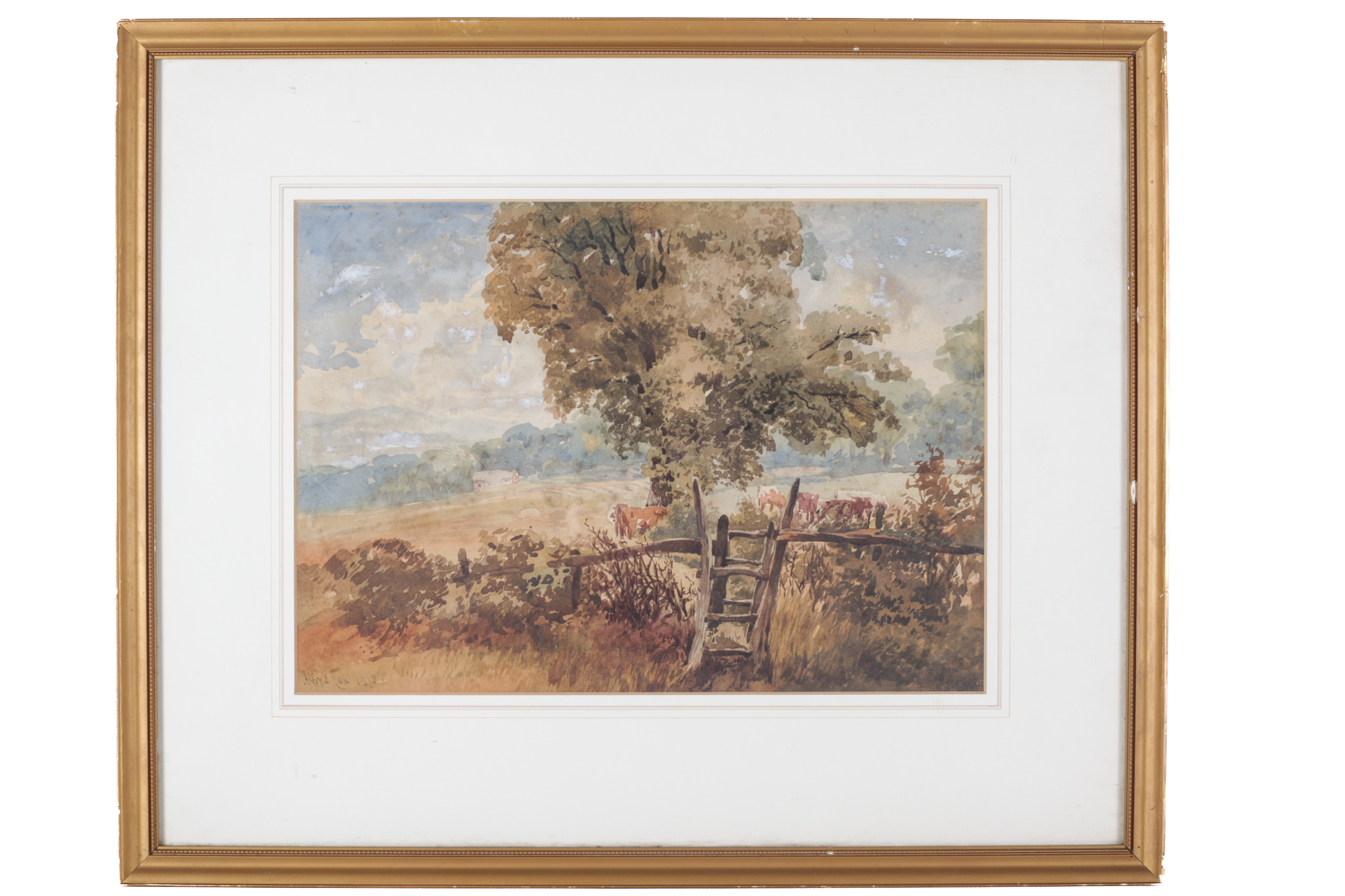 Alfred Wilson Cox (circa 1820-1888), watercolour, cows in the shade under a tree in the country.