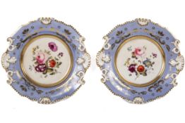 A pair of 19th century English hand painted cabinet plates.