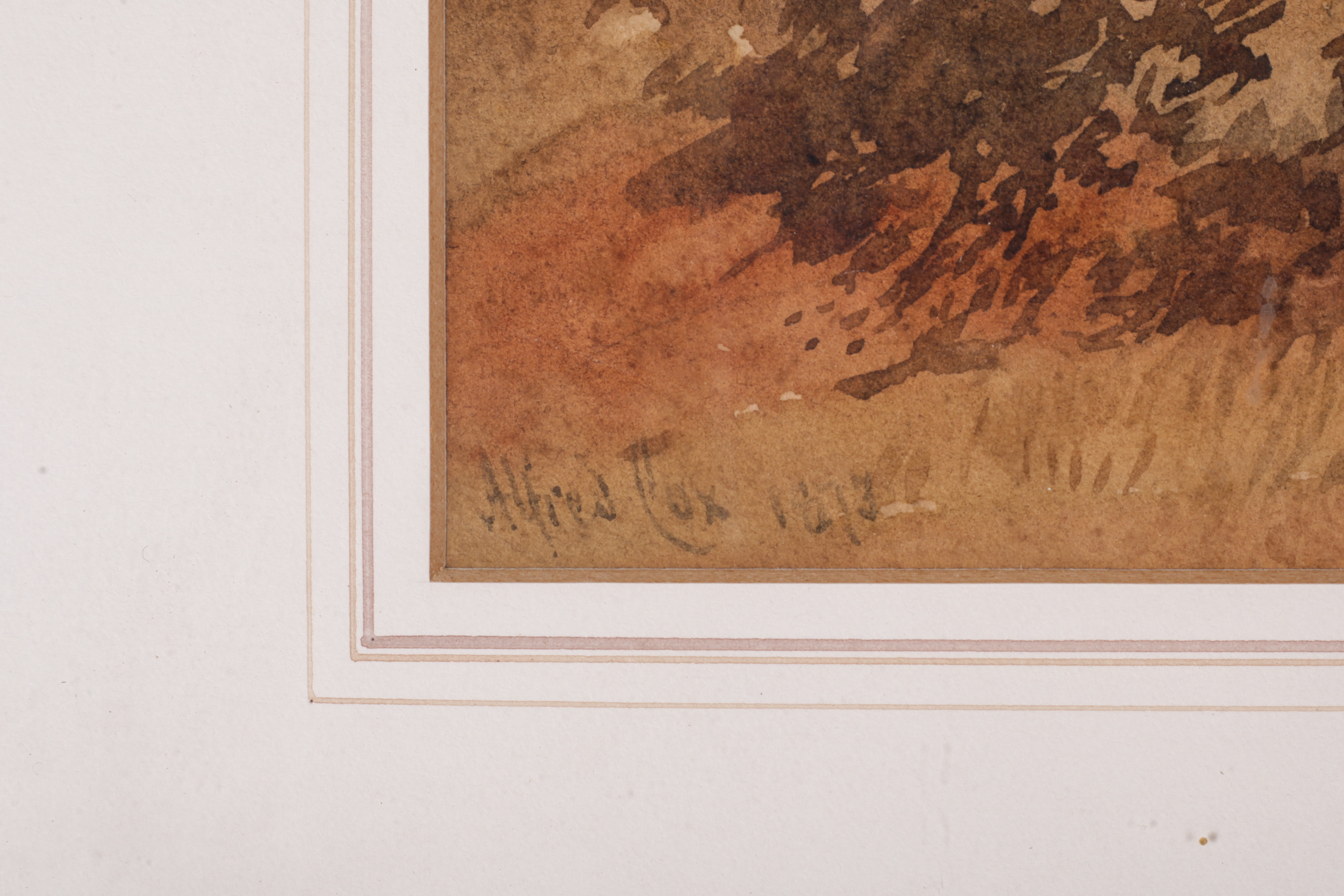 Alfred Wilson Cox (circa 1820-1888), watercolour, cows in the shade under a tree in the country. - Image 2 of 4