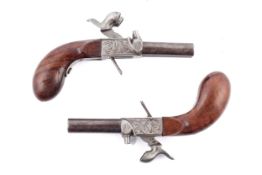 A pair of double barrelled percussion pistols.