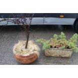 Two garden planters. Including a round terracotta example and a stone trough. Max.