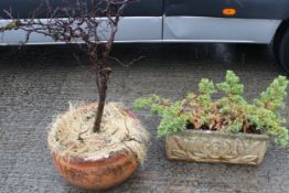 Two garden planters. Including a round terracotta example and a stone trough. Max.