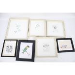 Seven contemporary prints and drawings of animals.
