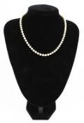 A vintage cultured pearl single row necklace. The 5.1mm-5.