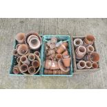 A large collection of Victorian and later terracotta plant pots.