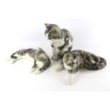 Three Winstanley pottery tabby cats. With glass eyes, Max.