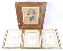 Four paintings of birds and flowers