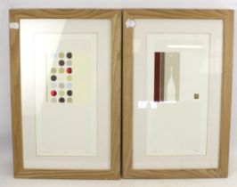 Two Ally Gone signed limited edition prints. 'Solo' no.324/350, 40cm x 20cm and 'Sassy', no.