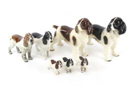 Seven Beswick models of spaniels. All in standing poses, max H19.