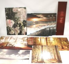 Nine large contemporary canvas prints on stretchers.