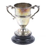 A silver small trophy cup.