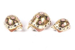 Three Royal Crown Derby figures of tortoises. Limited edition numbers 131, 131 and 346.